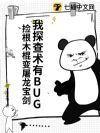 ��̽������BUG�����ľ������������