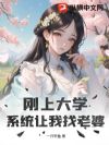 刚上大学,系统让我找老婆!