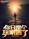 你只是个玩家罢了