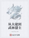 从大佬到武林盟主